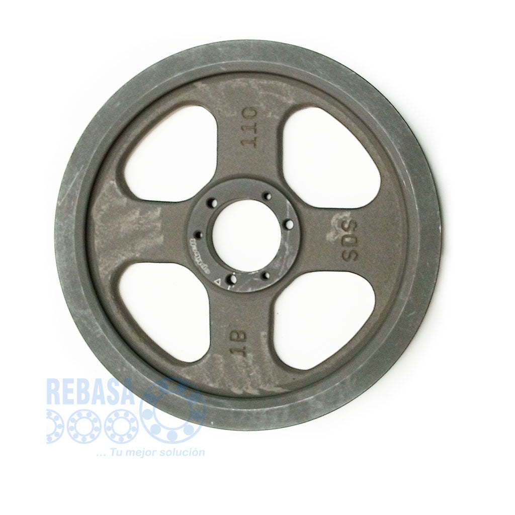 1B-DP-110-SDS