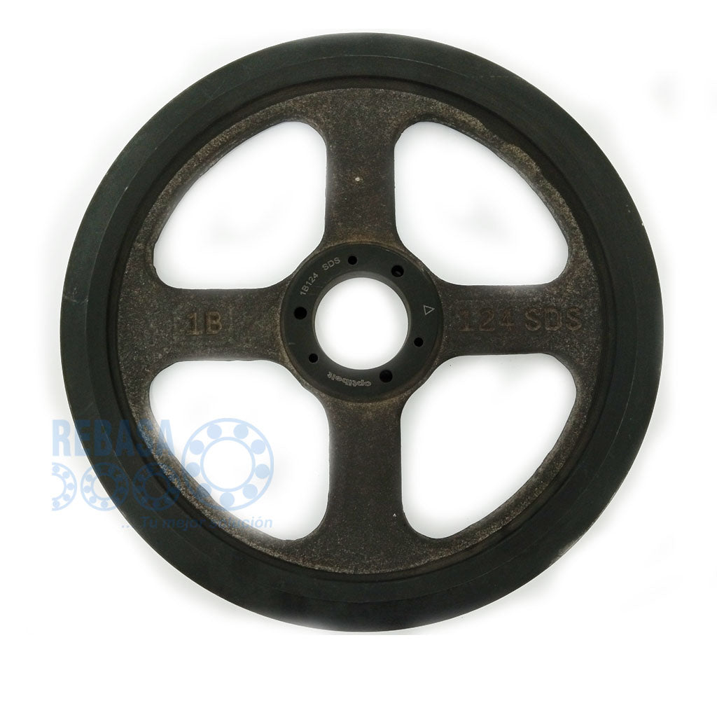 1B-DP-124-SDS