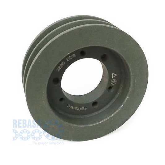 2B-DP-050-SDS