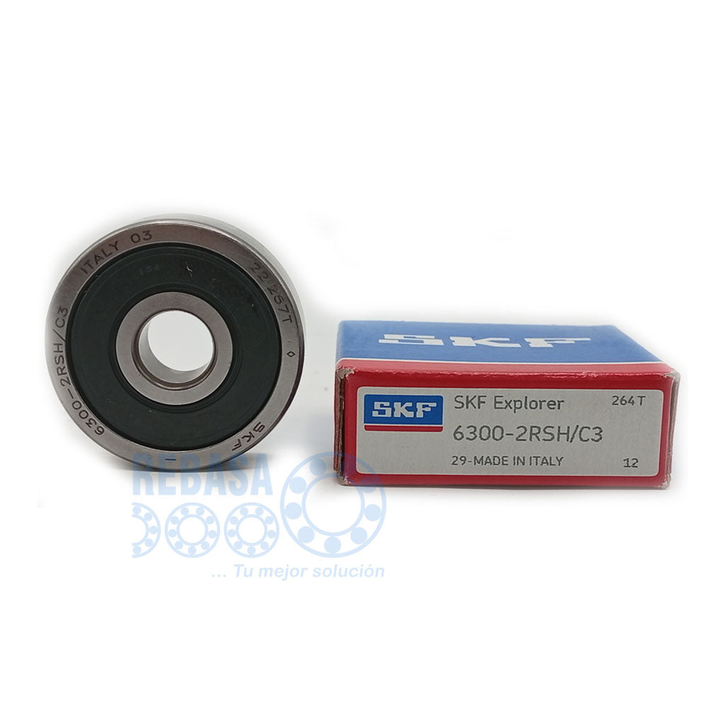 6300-2RSH/C3