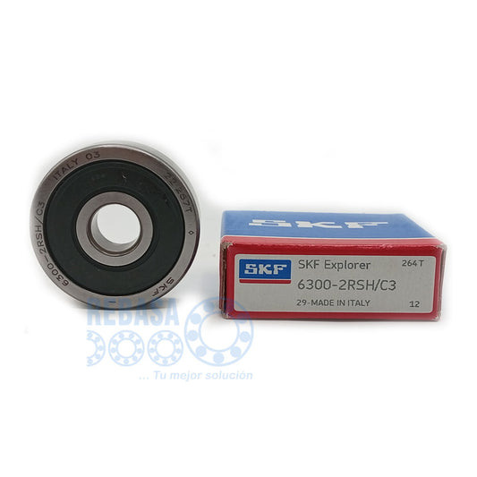 6300-2RSH/C3